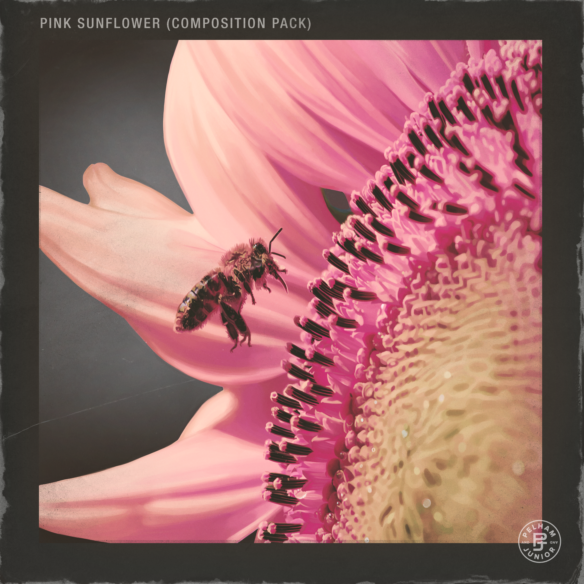 Pink Sunflower Volume 1